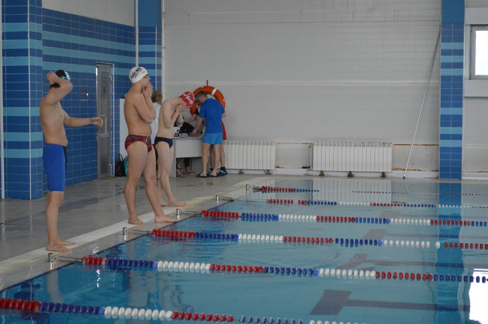 � �������� ���� - �������� ���