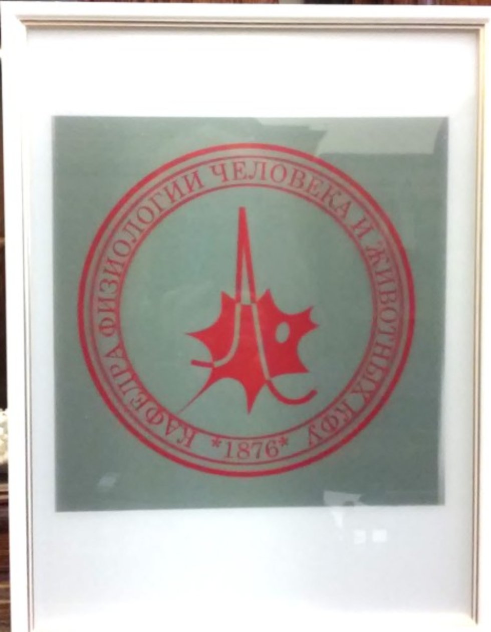 За всю историю Казанской физиологической школы кафедру возглавила женщина За всю историю Казанской физиологической школы кафедру возглавила женщина