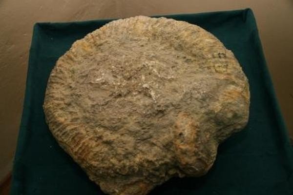 ������������� ����� ��������� ���������� � ��������� �������� �15