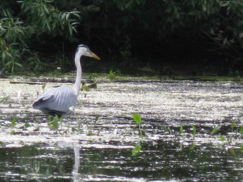 ��������� �������� ������������� �������� '�������� ��������'