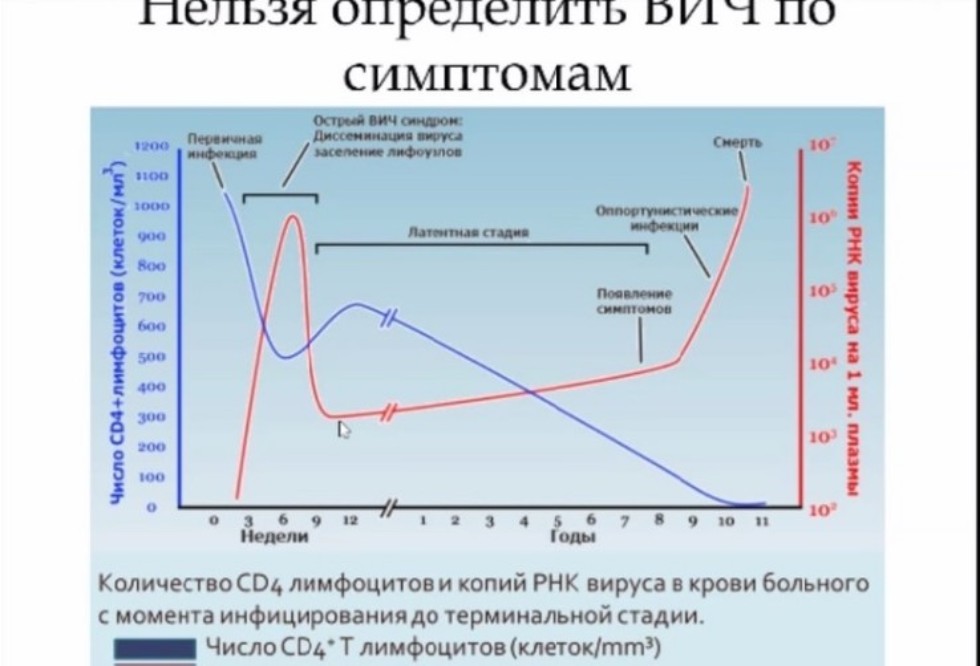 �����, ����� ����