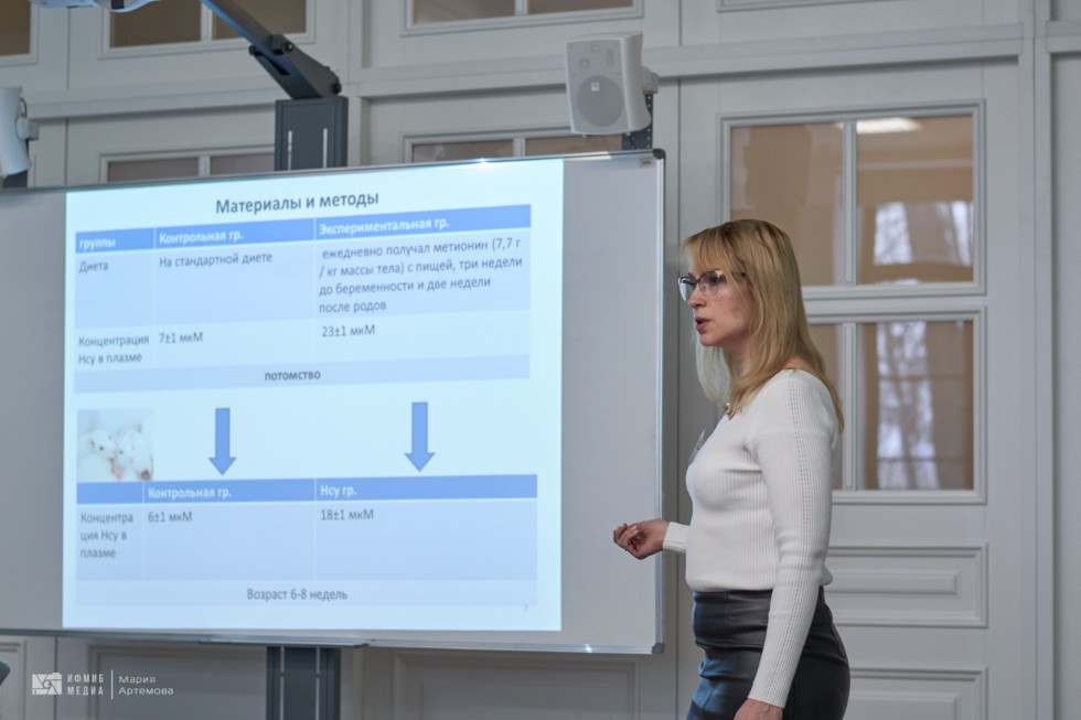 Конференция Конференция