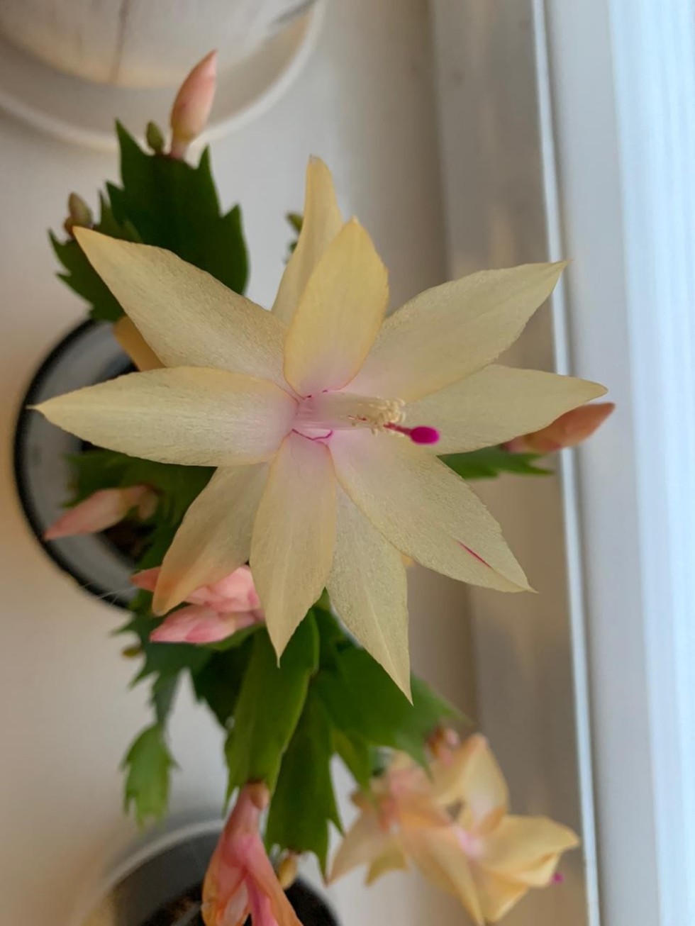 Юлия Журавлева: 'Химия ? это наука, умеющая творить чудеса' Юлия Журавлева: 'Химия ? это наука, умеющая творить чудеса'