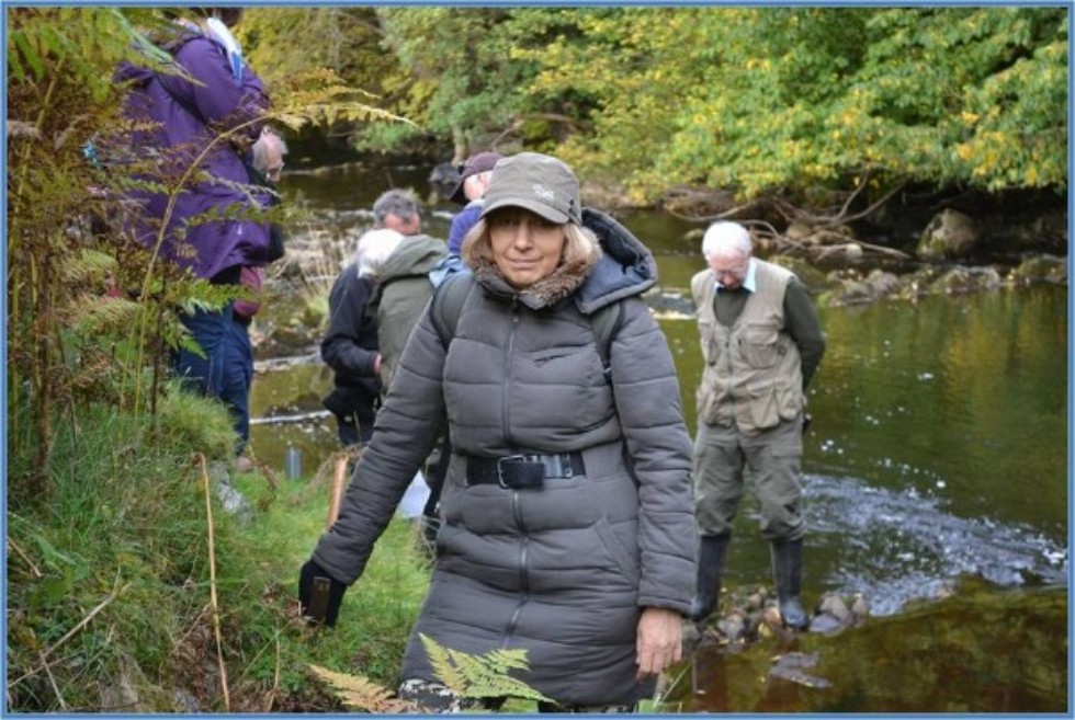 ��������� ��� ��������� �����������: ������ ������������