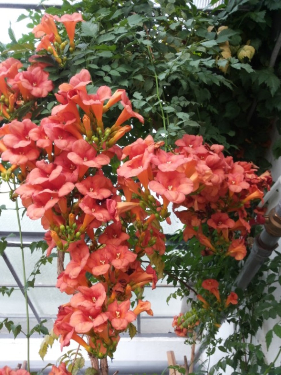 ��������� � ������������ ����