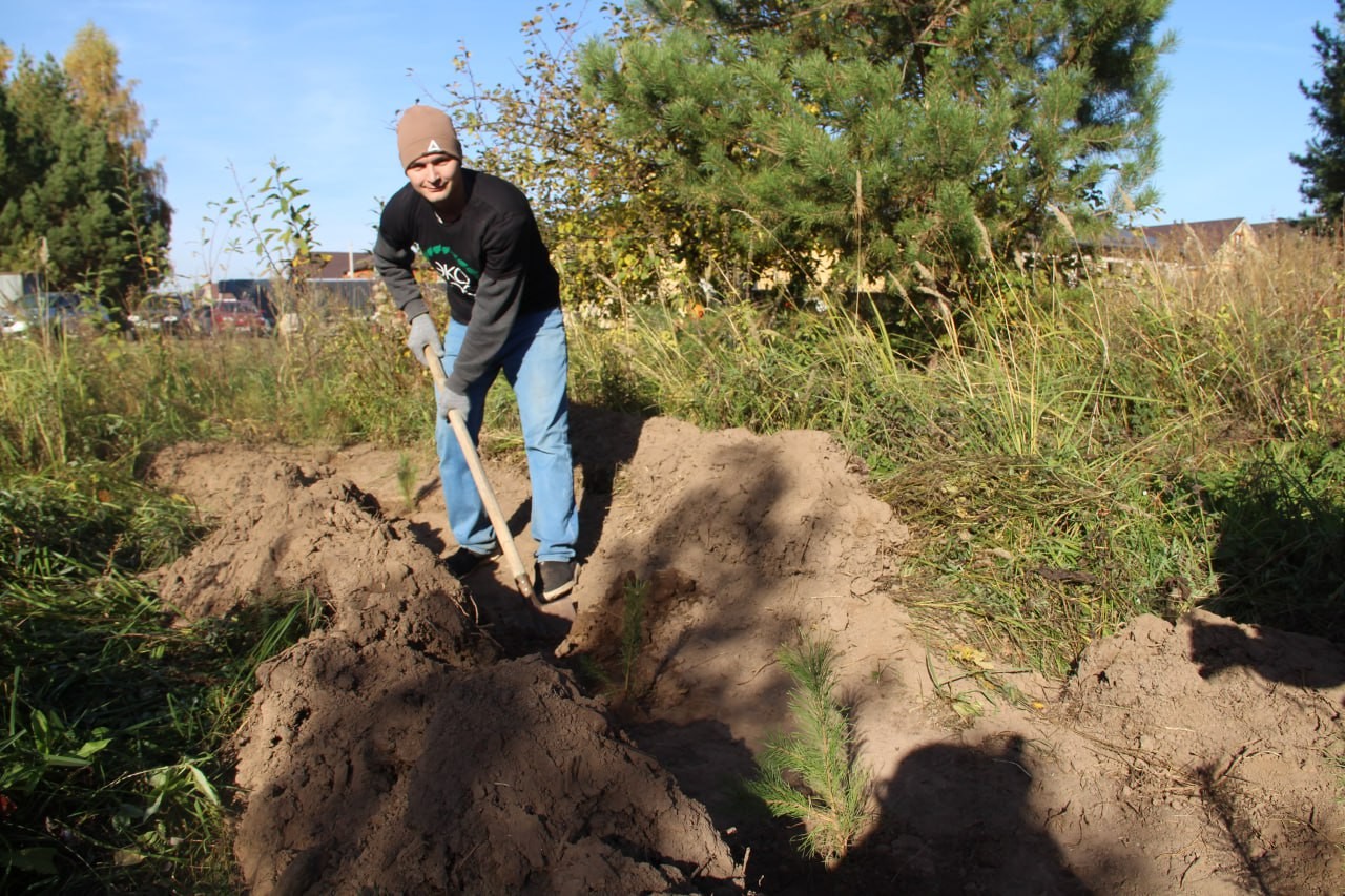 �������� ����������� ��������� ��� ������ ���� ����� � ���������� ������