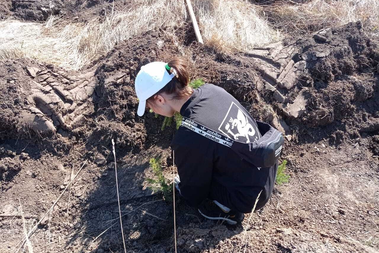 Эковолонтеры Елабужского института КФУ приняли участие в международной акции посадки деревьев 'Сад Памяти' Эковолонтеры Елабужского института КФУ приняли участие в международной акции посадки деревьев 'Сад Памяти'