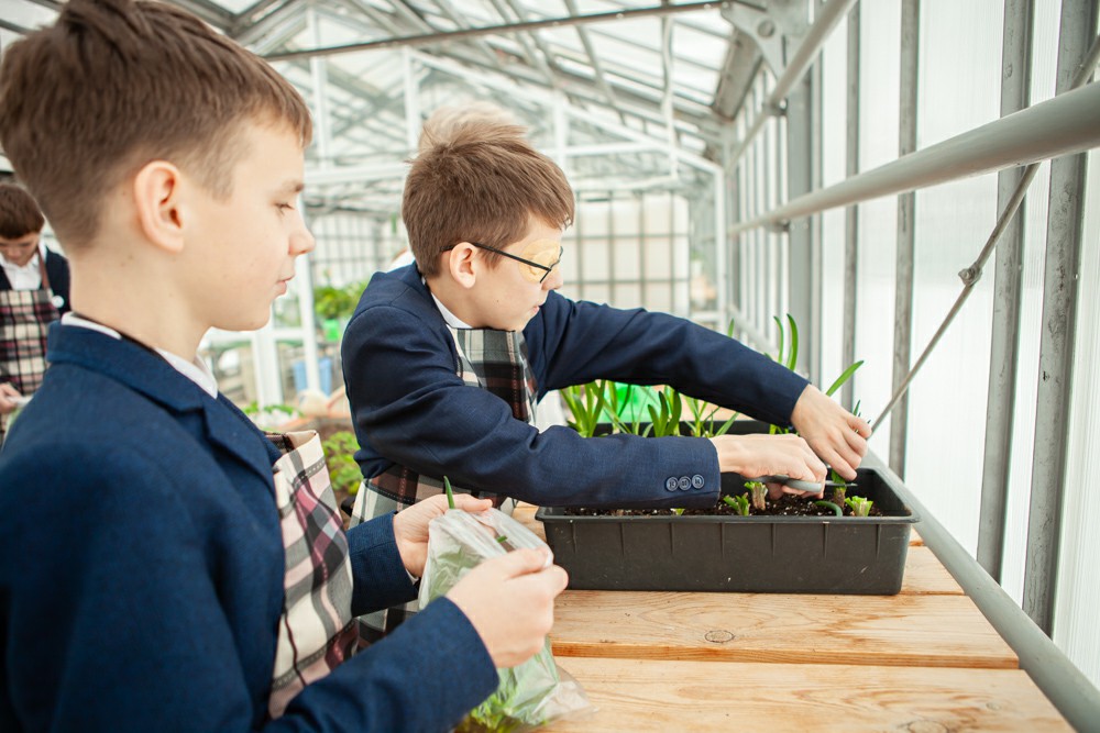 ���������� �������� ��� �������� ������������ ������ �� ���