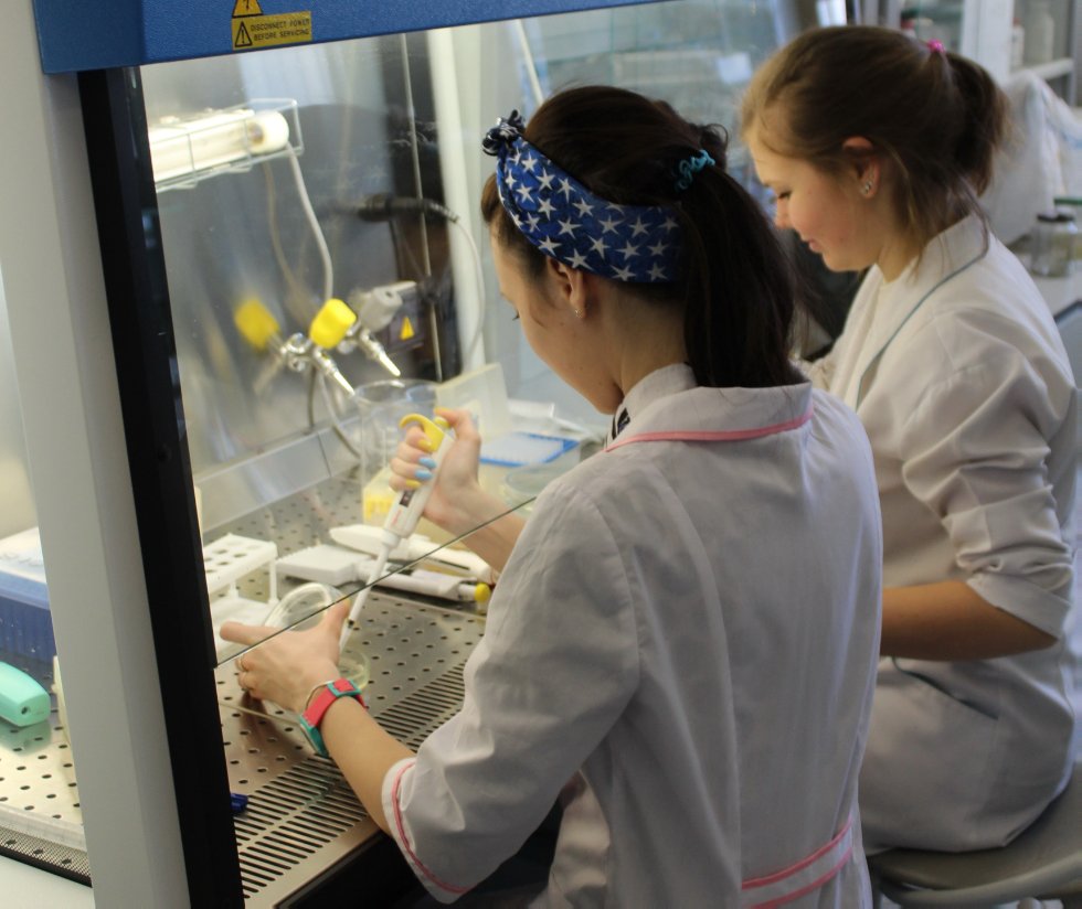 ������ ���