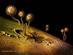 Живые растения в космосе - миф или реальность? Живые растения в космосе - миф или реальность?