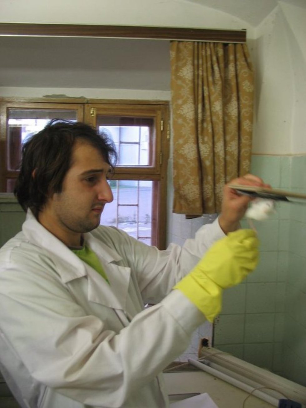 Научные исследования Научные исследования