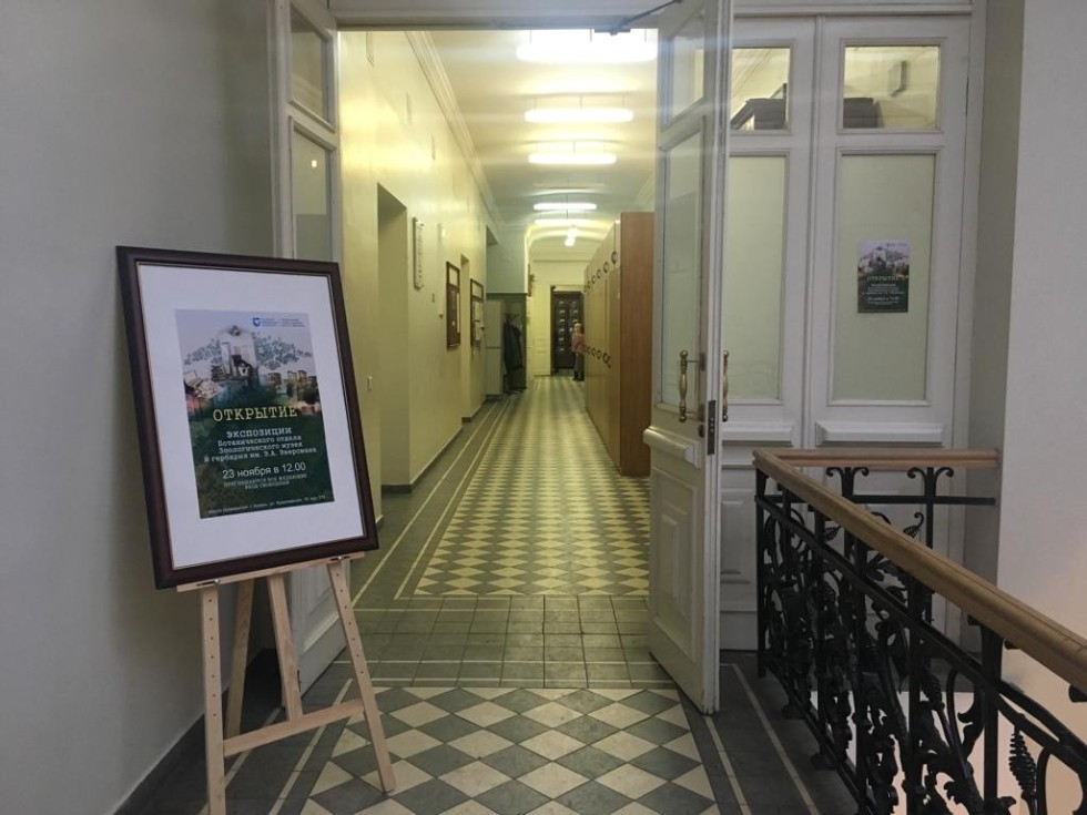 New botanical collection of the Zoological Museum opened doors New botanical collection of the Zoological Museum opened doors