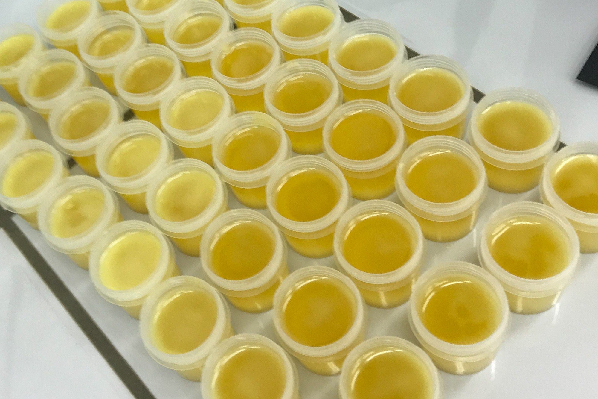 ������� ������ ���!