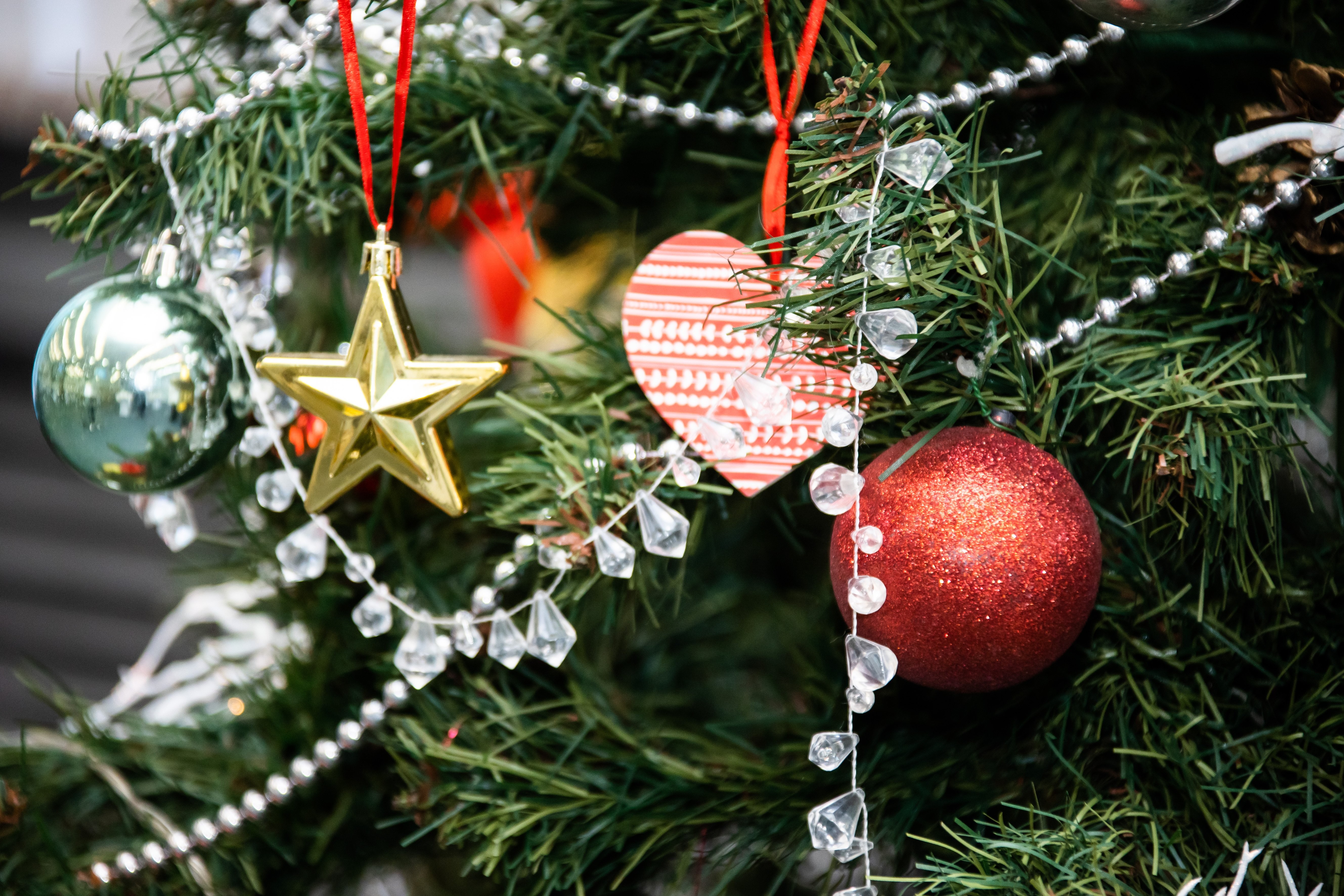 ���������� ������ 2025 ����