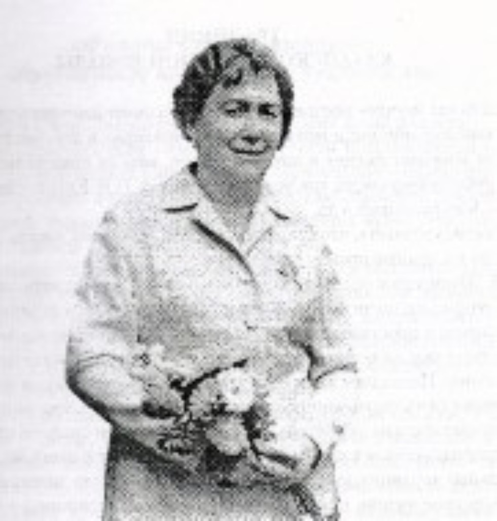 ����������