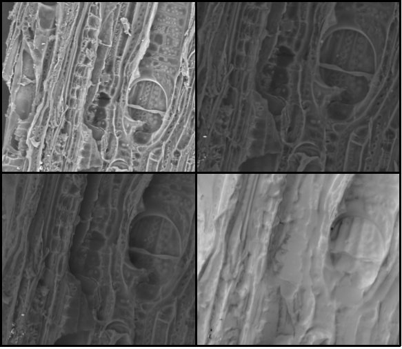 Результаты исследования микроструктуры биоугля Результаты исследования микроструктуры биоугля