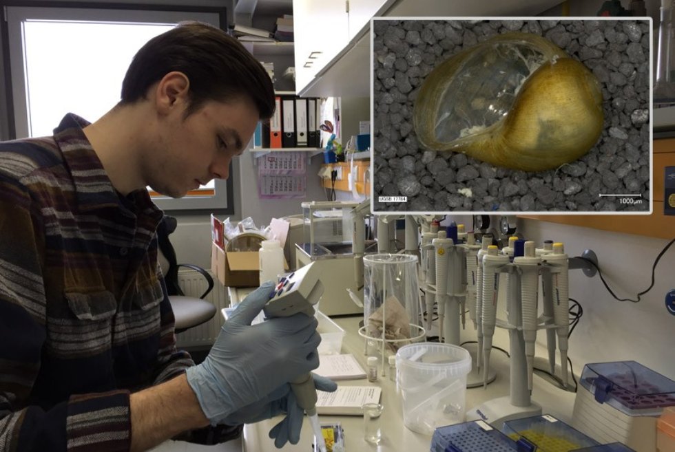 ������� ���������� � ��������� �������� ����������� �������� ����������� ������������