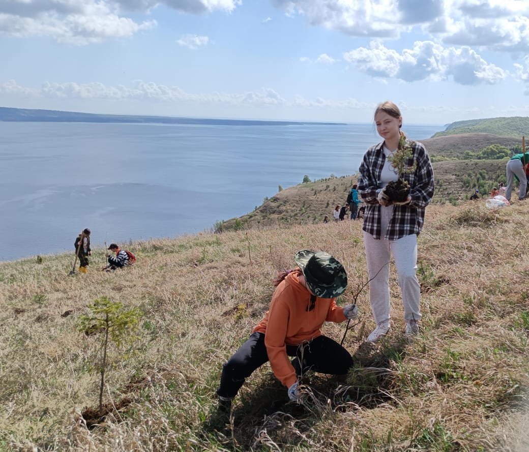 Деревья - вместо бронзы и мрамора Деревья - вместо бронзы и мрамора