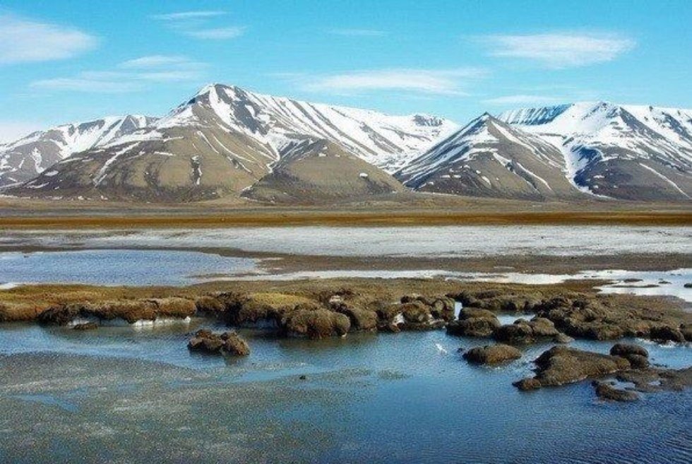 Studying Arctic Ecosystems Helps Researchers Predict Climatic Changes ,geology, climate, Arctic