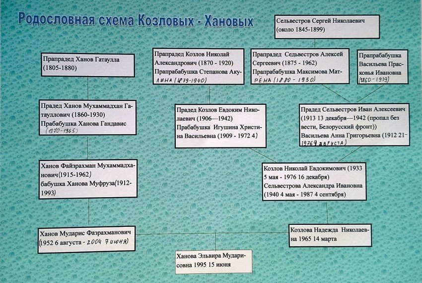 В Елабужском институте КФУ прошла выставка родословных В Елабужском институте КФУ прошла выставка родословных