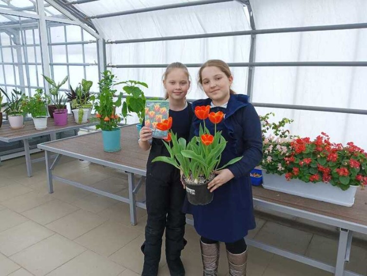 Ботанический эксперимент в 'Университетской' школе завершился Ботанический эксперимент в 'Университетской' школе завершился