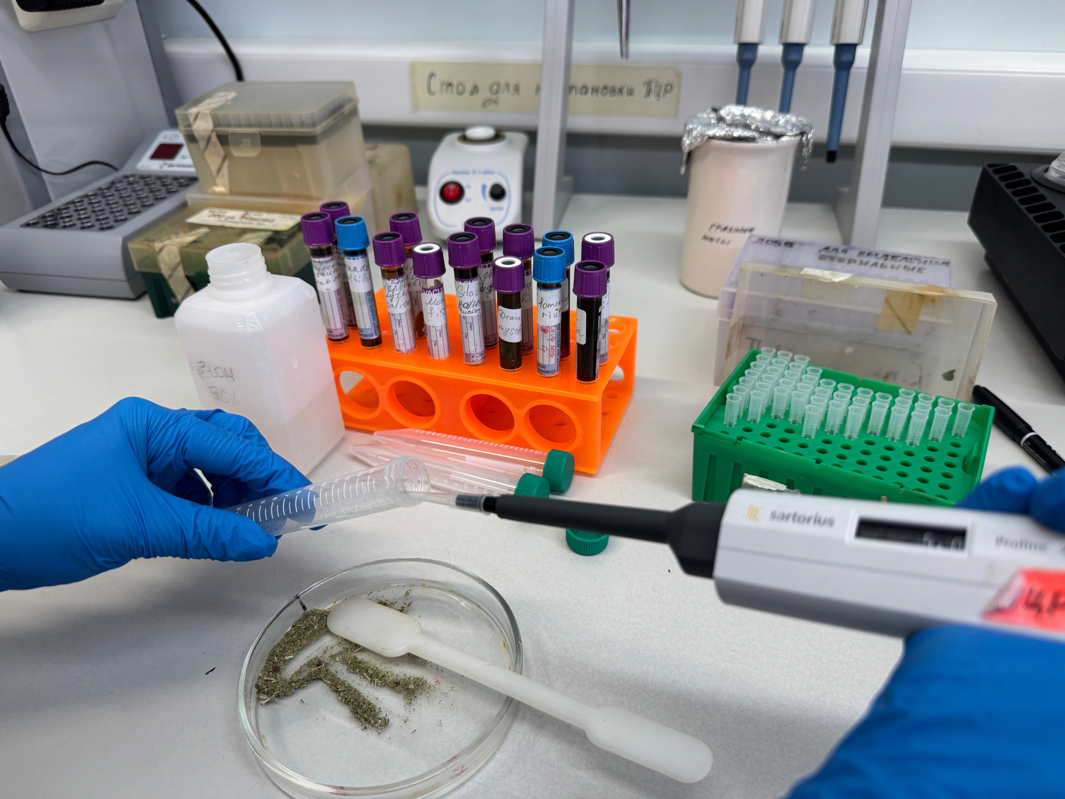 ������������� ����� ������ �� ������ ���� ����������� ��� ,��������������� ��������� ���, ������� &laquo;������������ �������&raquo;, �������� �.�.