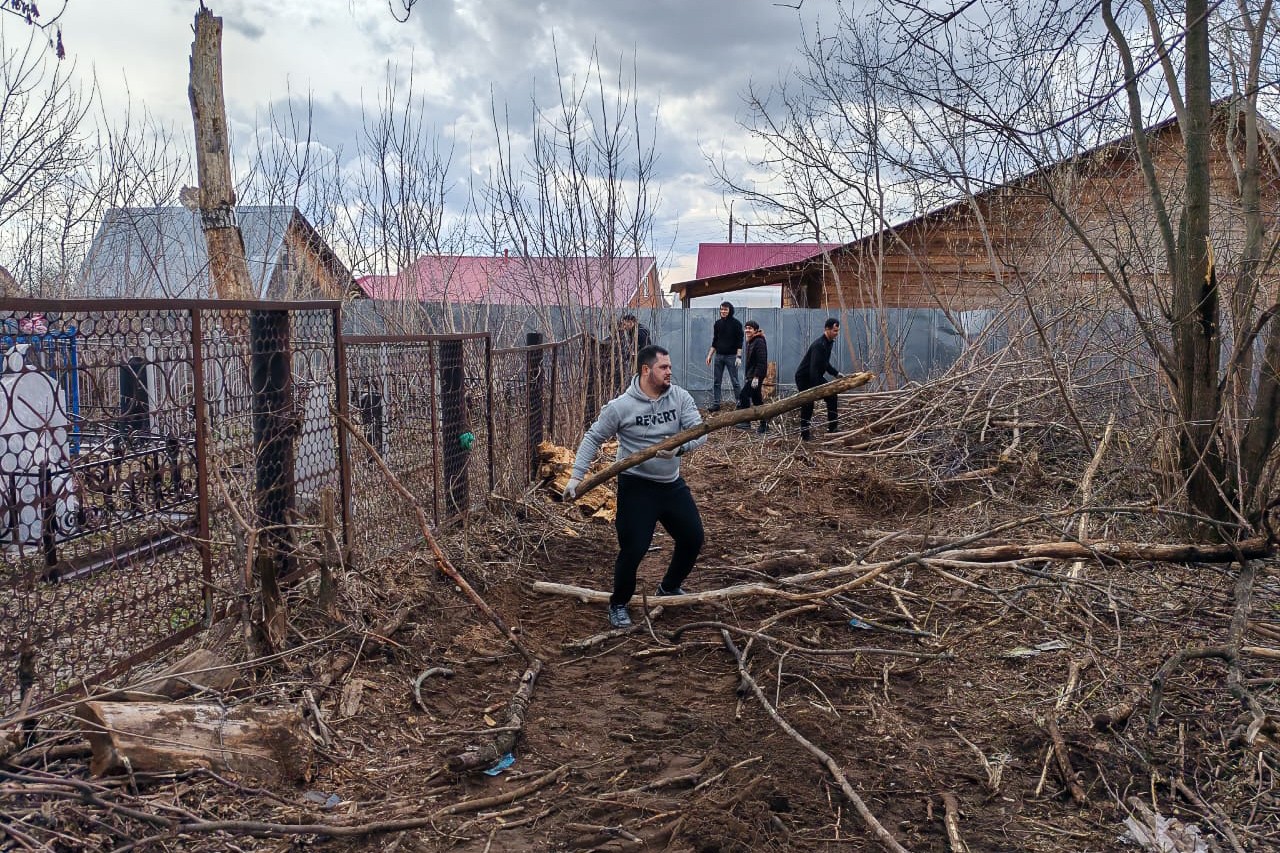 �������� ����������� ��������� ������� ������� � ������������� ���������� ,���������� �������� ���