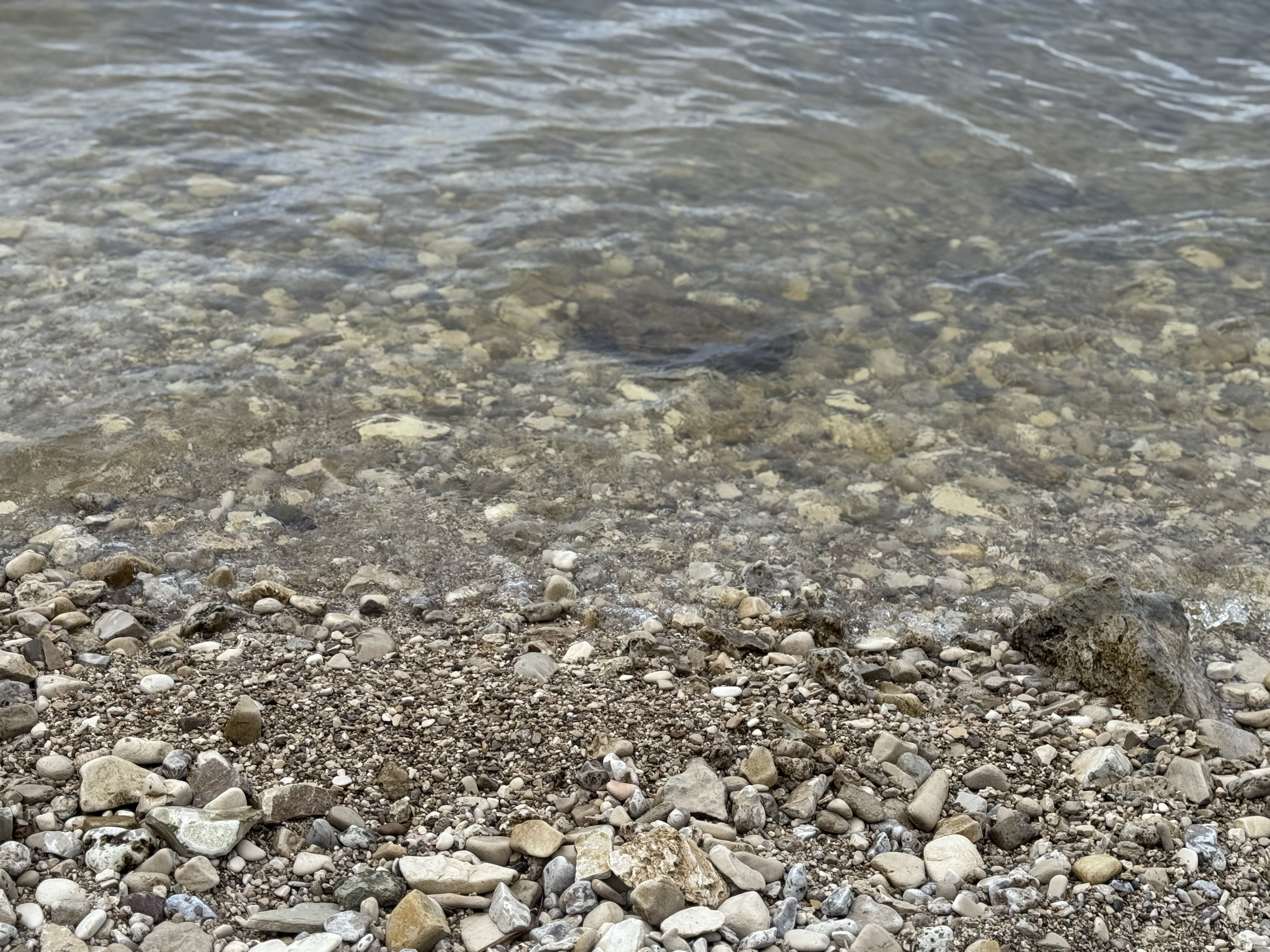 Представители Совета ветеранов КФУ посетили жемчужину Татарстана - Камское Устье Представители Совета ветеранов КФУ посетили жемчужину Татарстана - Камское Устье