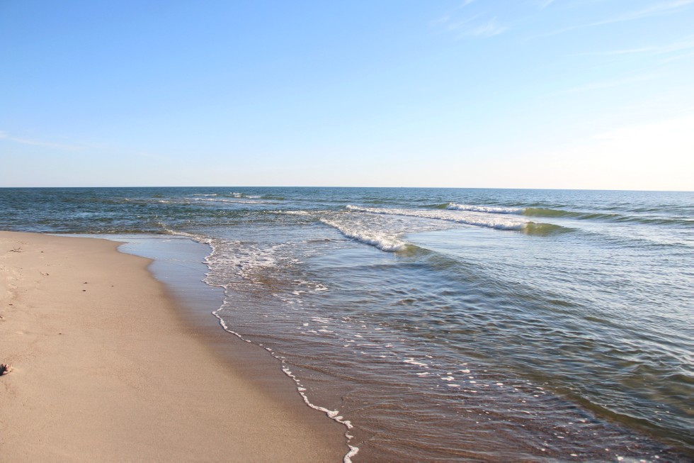 Представитель юрфака КФУ принял участие в международной научной конференции 'Миграционные проблемы в Европе и пути их решения' в Балтийском федеральном университете им. Иммануила Канта в Калининграде Представитель юрфака КФУ принял участие в международной научной конференции 'Миграционные проблемы в Европе и пути их решения' в Балтийском федеральном университете им. Иммануила Канта в Калининграде