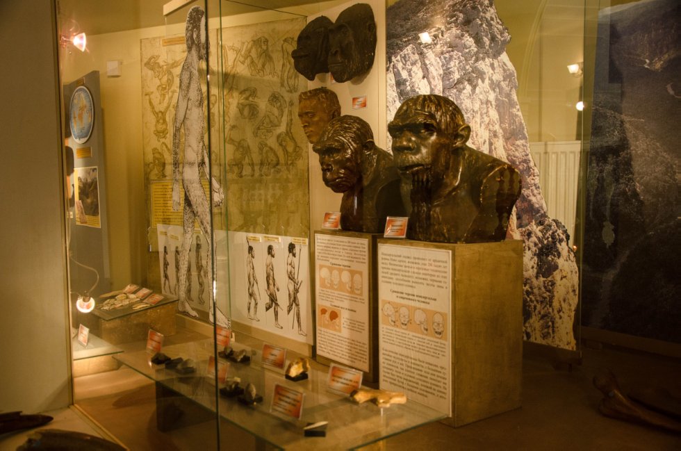 История коллекции История коллекции