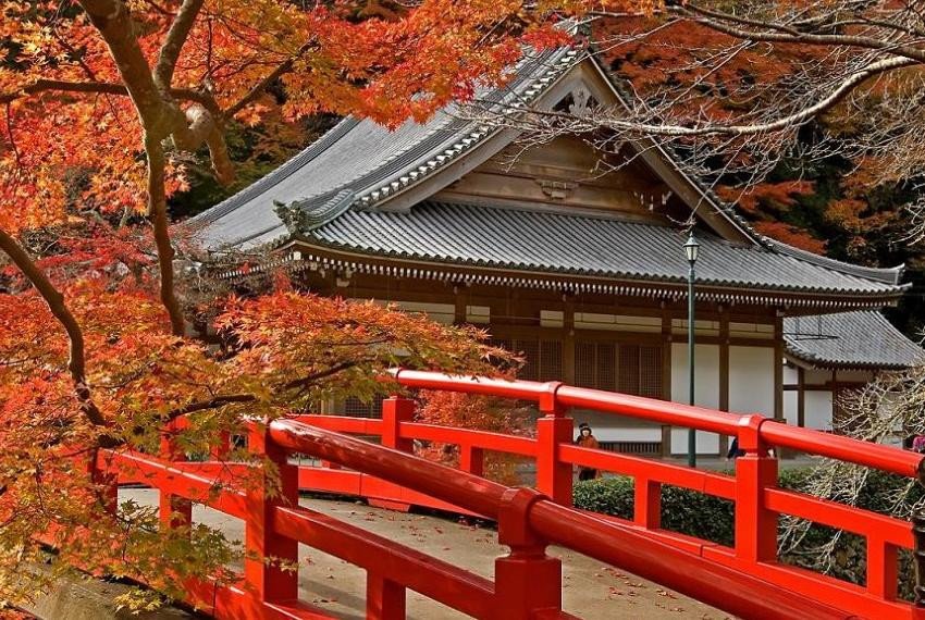 The agreement about academic co-operation has been signed between the Institute of Oriental Studies and International Relations of Kazan Federal University and the Faculty of Liberal Arts of Saitama University, Japan.