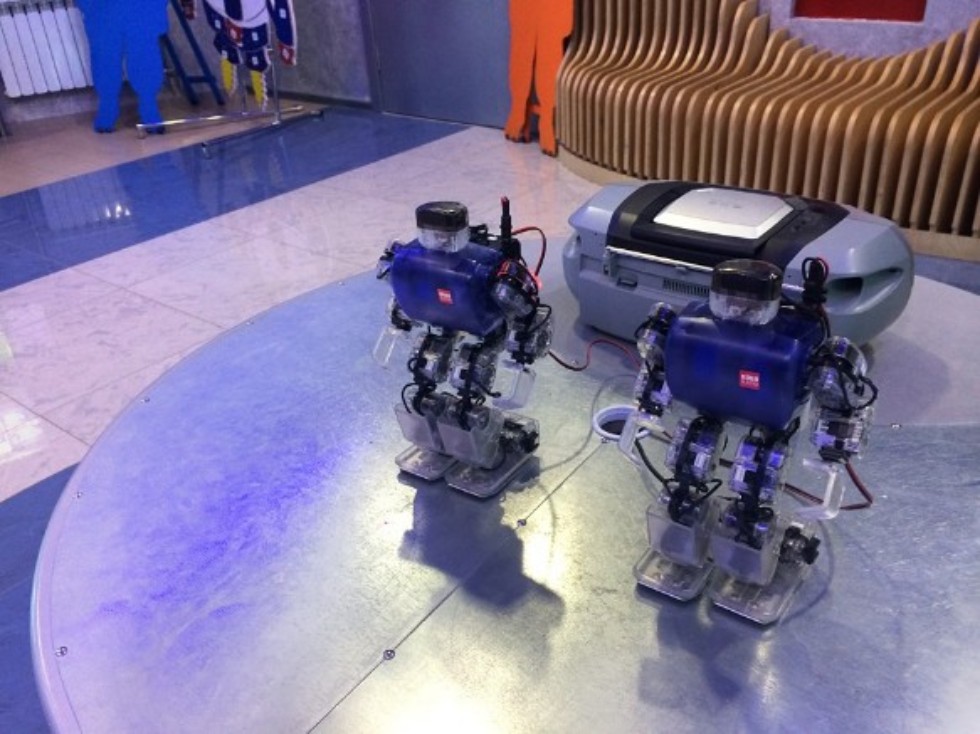 СТРУКТУРА И ПЕРСПЕКТИВЫ РАЗВИТИЯ АСТРОНОМИЧЕСКОЙ ОБСЕРВАТОРИИ им. В.П.ЭНГЕЛЬГАРДТА. СТРУКТУРА И ПЕРСПЕКТИВЫ РАЗВИТИЯ АСТРОНОМИЧЕСКОЙ ОБСЕРВАТОРИИ им. В.П.ЭНГЕЛЬГАРДТА.