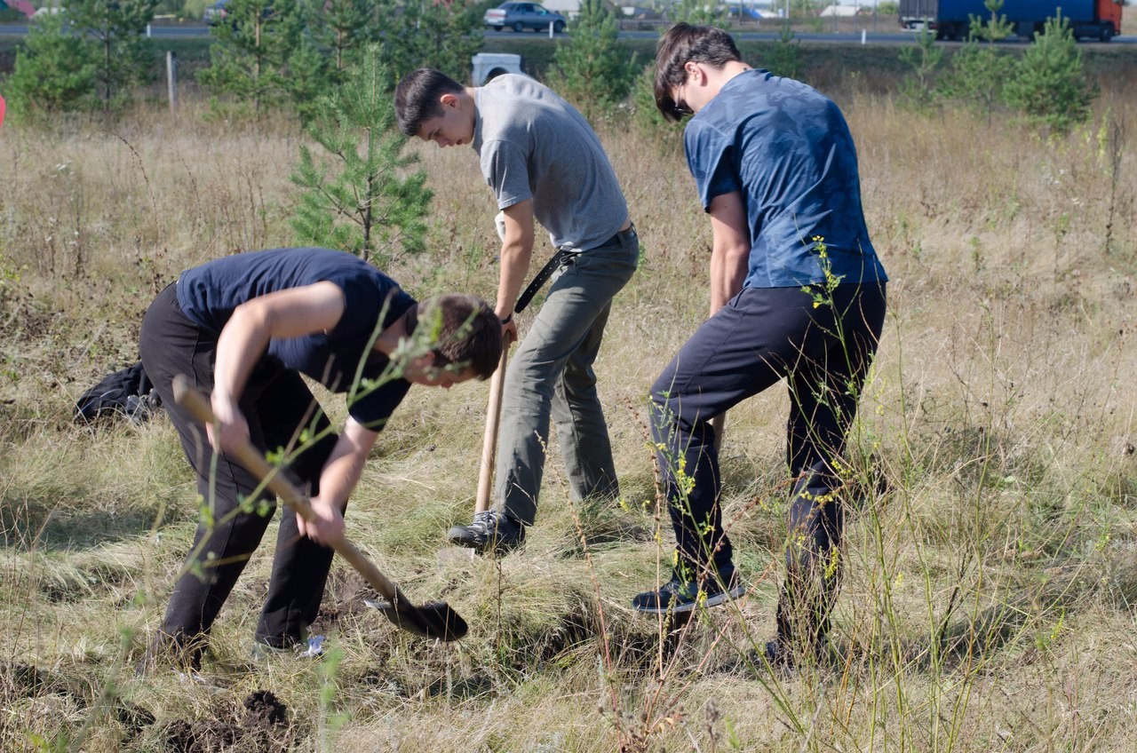 Ландшафтная учебная практика (20-28 сентября 2017 г.) Ландшафтная учебная практика (20-28 сентября 2017 г.)