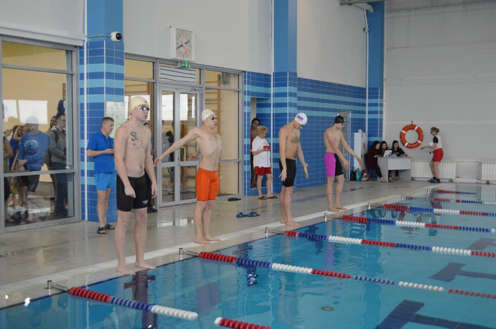 � �������� ���� - �������� ���