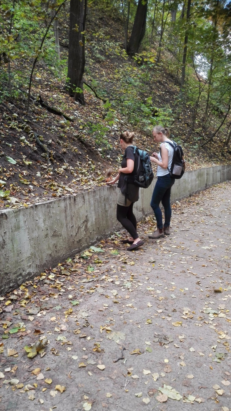 �������� �� ������� ���������� � �������