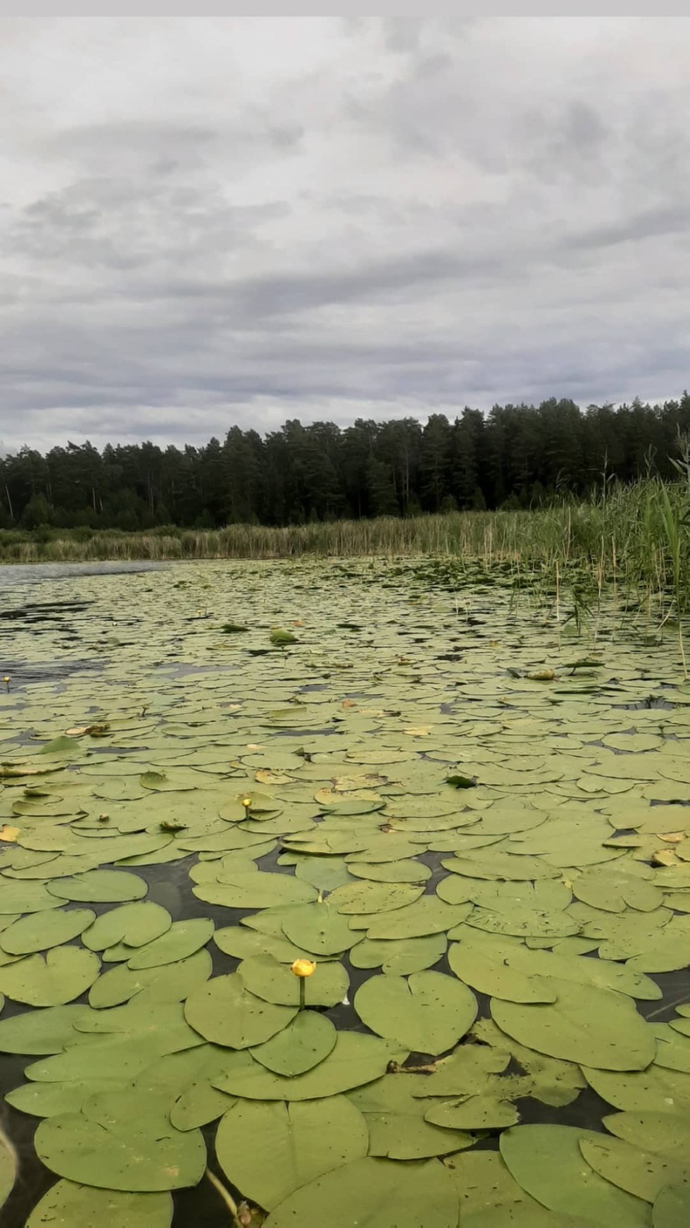 ���� ������ '������'