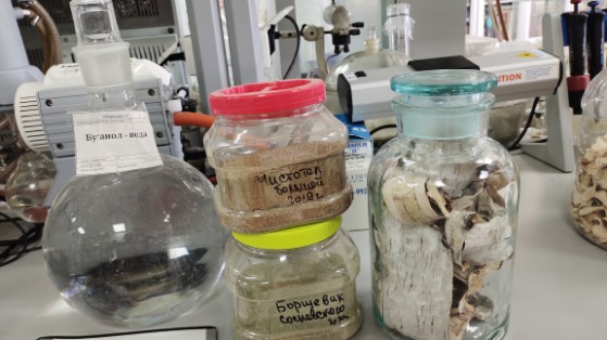 ��������� ������������ �������� �������� �������� � ������ � �������