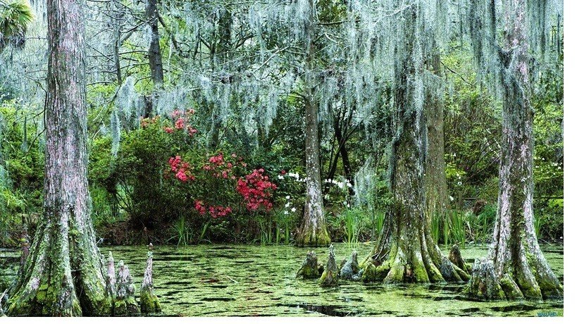 ��������� ���� �����-�������� ������