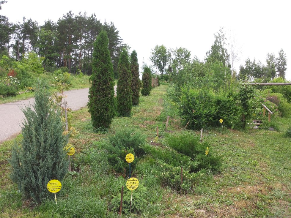 ������������ ���