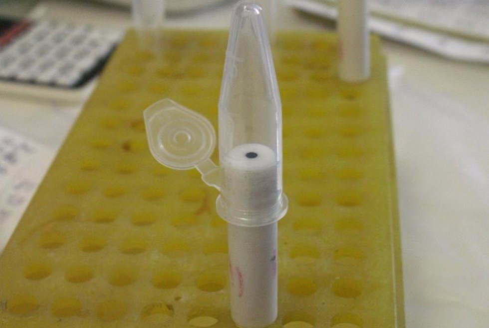 What Are Pillararenes Good for