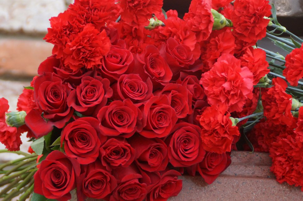 ��������� �������� ��������� �����-����� ���� �������