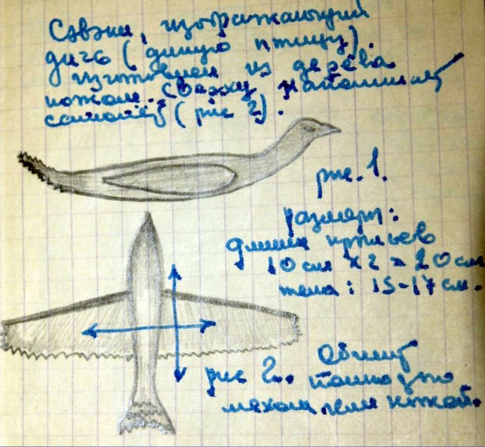 ������ � ���� ����������� ���� �������� ���������