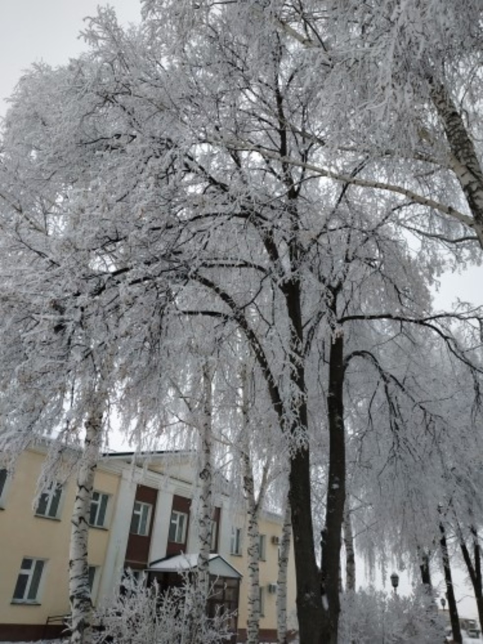 � ������������ ������ ������ ������������������ ������� � ��������������� ���� ���