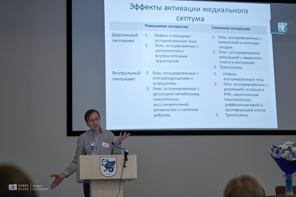 Конференция Конференция