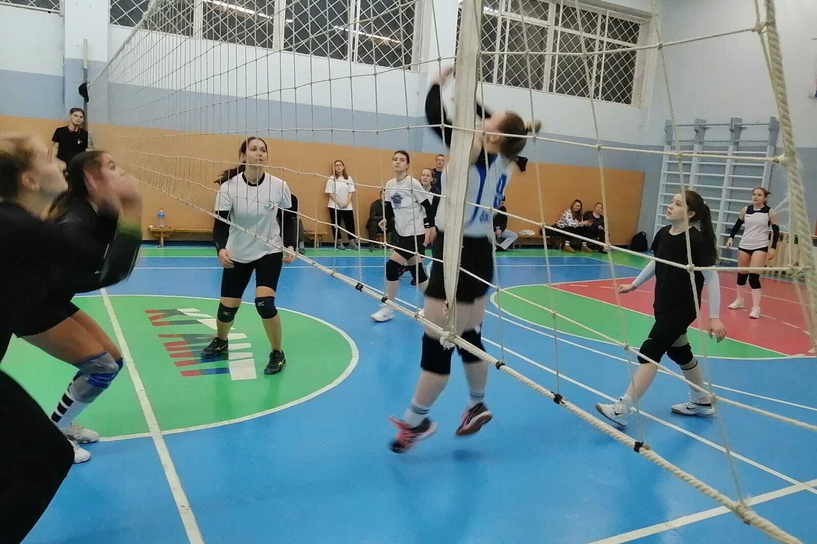 Женская команда института по волейболу вновь привезла победу ,Елабужский институт КФУ