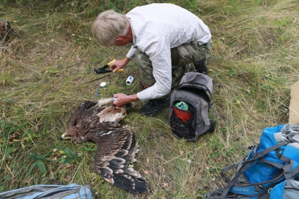 ������ ��� ������� ��������� �����