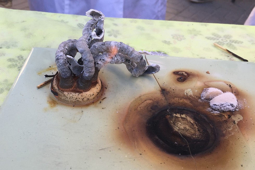 ����� ����������� ��������� ��. �.�. ��������� � ������-���������� ������� PRO����� � ��� '���� ��������'