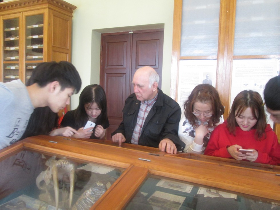 ����������� �������� �������� ����� ���