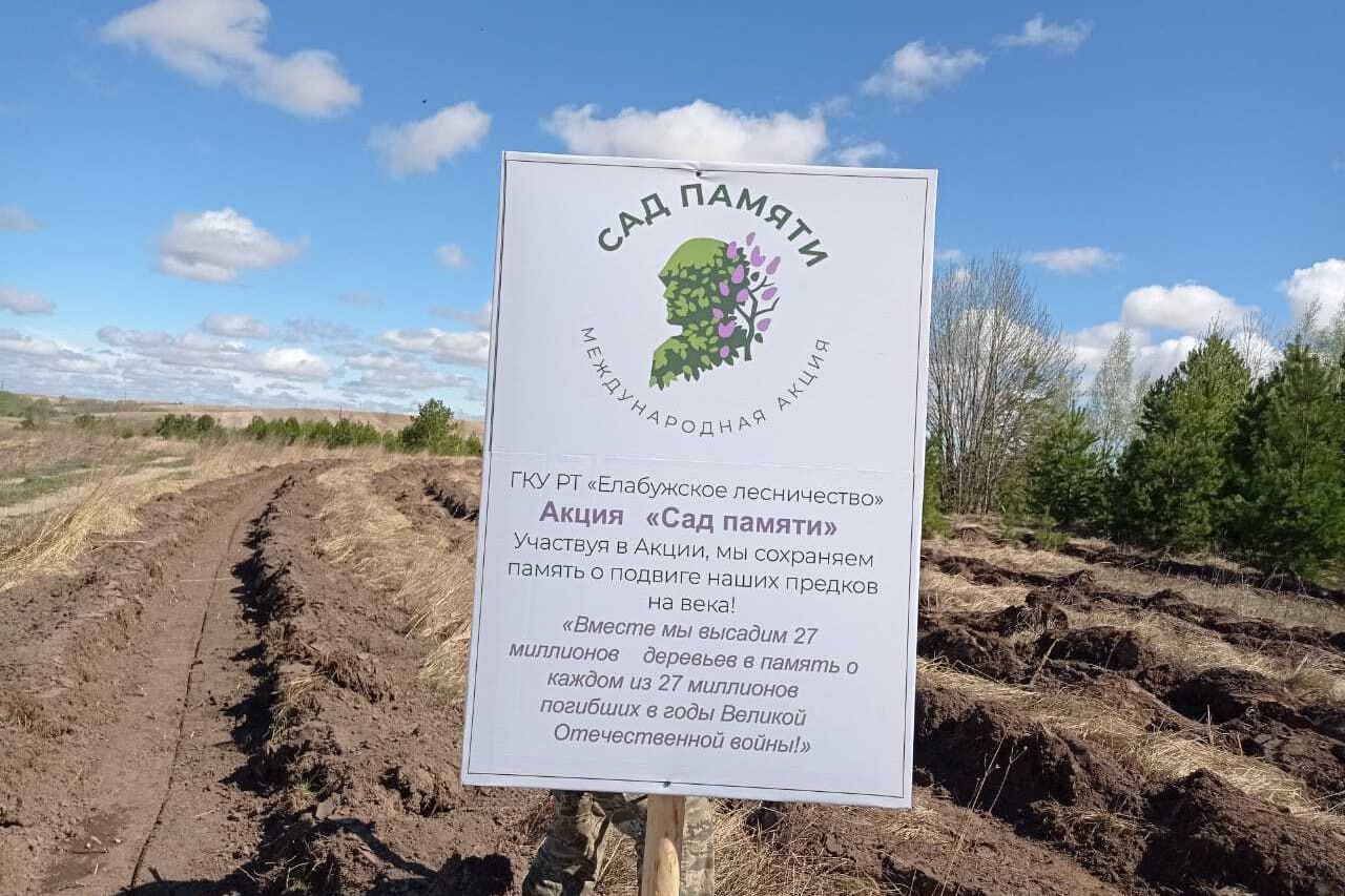 Эковолонтеры Елабужского института КФУ приняли участие в международной акции посадки деревьев 'Сад Памяти'