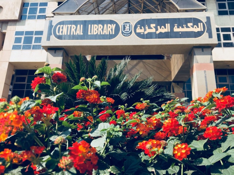 �������� ��������� ���������� �������������� ������ � �����